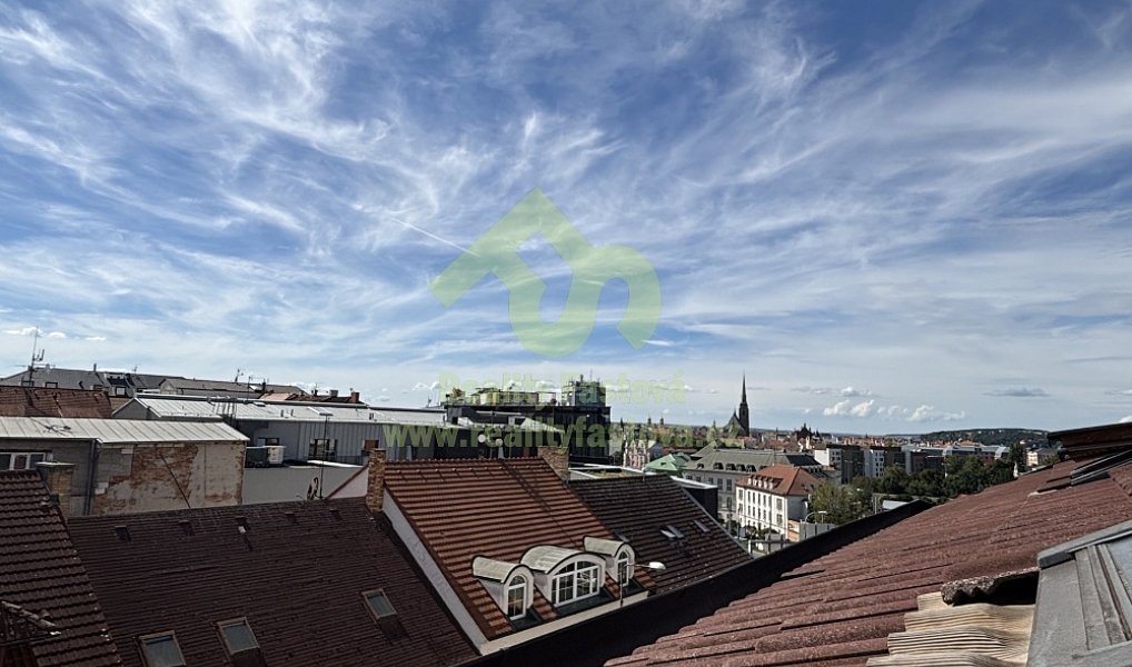 Prodej domu 776 m² s pozemkem 192 m², Plzeň – náhled fotky 24