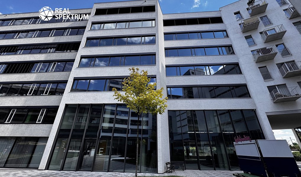 Pronájem kanceláře 240 m², Brno – náhled fotky 6