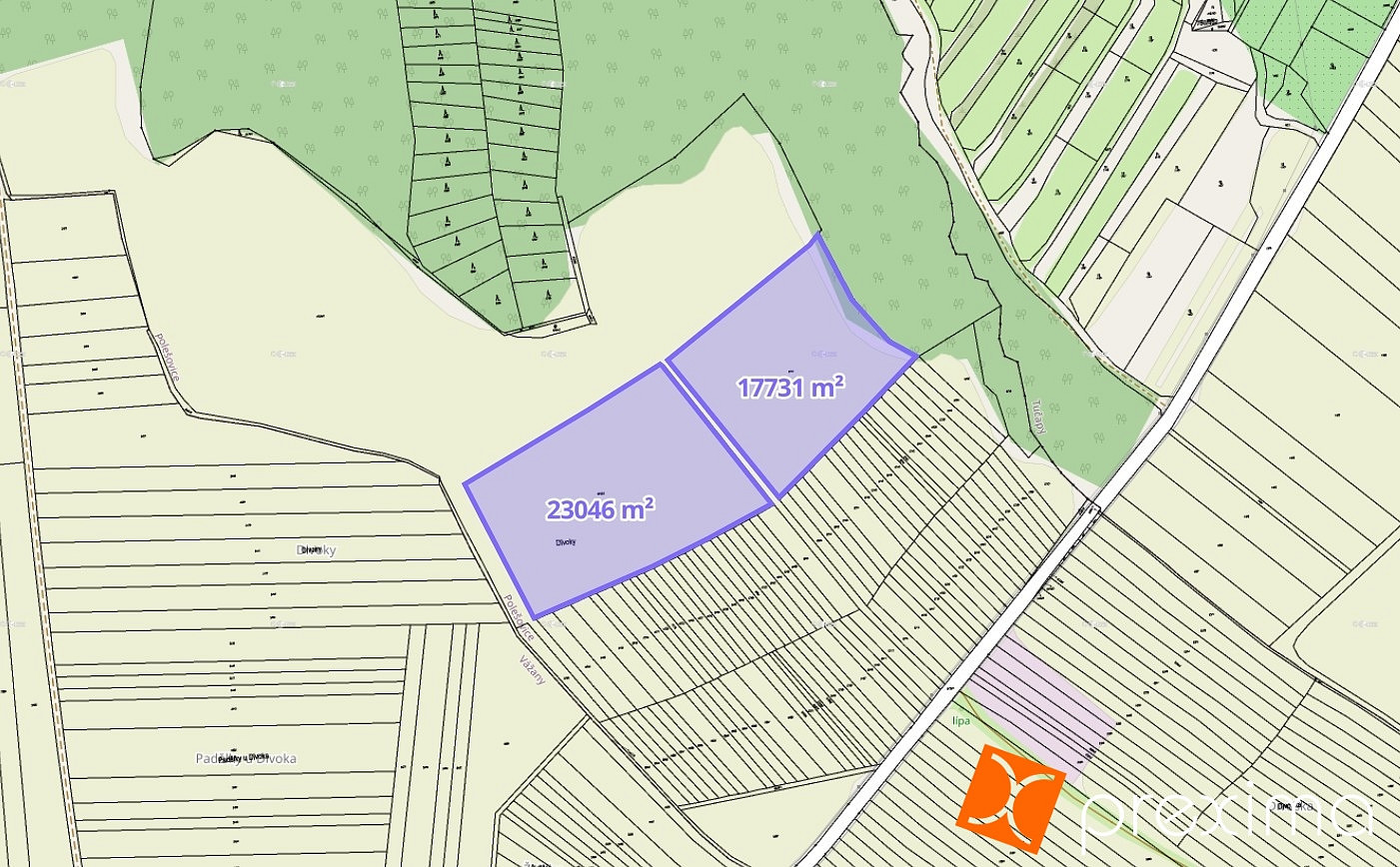 Prodej pole 1 937 m² – fotografie 4