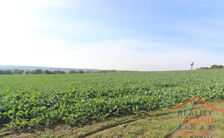 Prodej stavebního pozemku 2 109 m², Chotětov, okres Mladá Boleslav