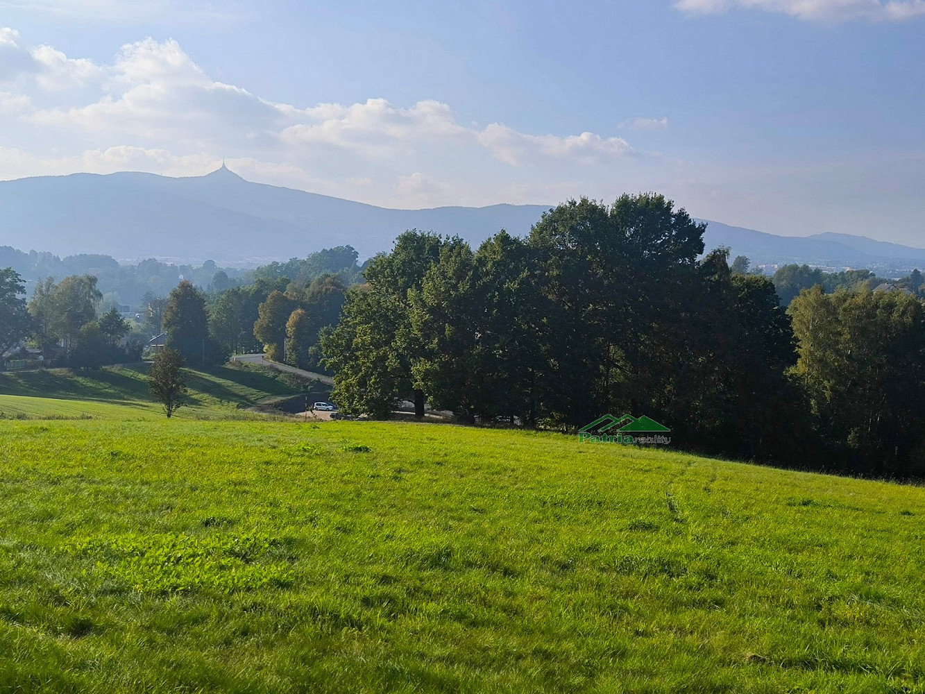 Prodej louky 16 000 m²