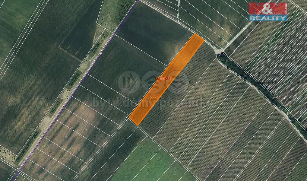 Prodej pole 612 m², Hrušky – náhled fotky 4