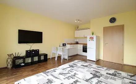 Pronájem bytu 1+kk 36 m²