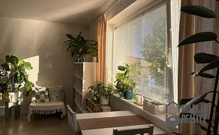 Pronájem bytu 1+kk 36 m², Hodkovická, Liberec