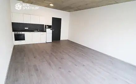 Pronájem bytu 1+kk 44 m²