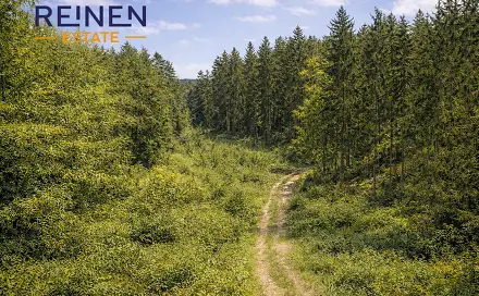 Prodej lesa 30 897 m², Svatá Maří, okres Prachatice