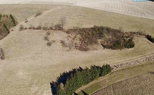 Prodej louky 15 081 m², Rybná nad Zdobnicí, okres Rychnov nad Kněžnou