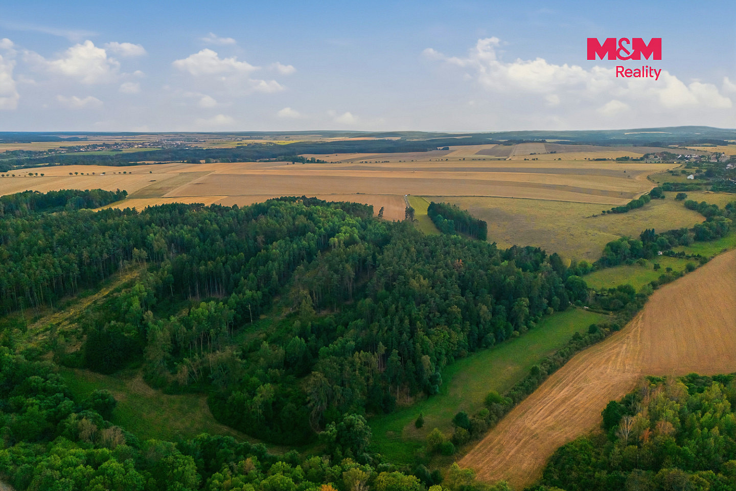 Prodej lesa 5 988 m² – fotografie 4