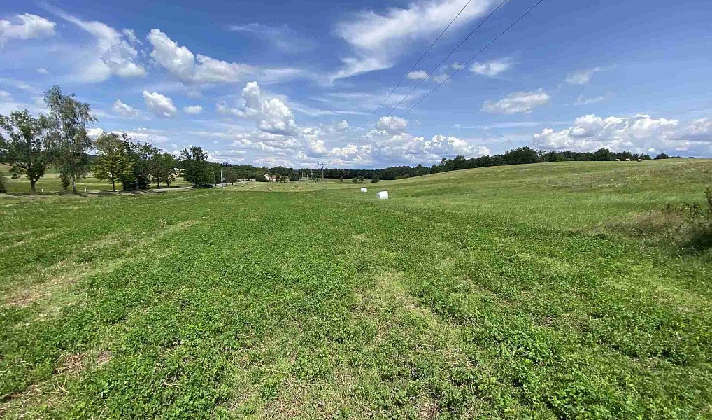 Prodej pole 55 481 m², Lhenice – náhled fotky 8