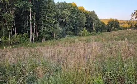 Prodej louky 13 984 m², Šebířov, okres Tábor