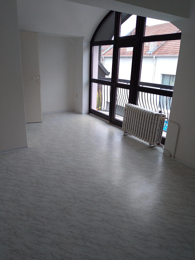 Pronájem bytu 4+1 100 m², Uherský Brod