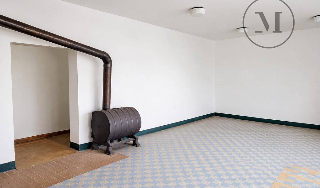 Prodej obchodních prostor 99 m², Bošice – náhled fotky 4