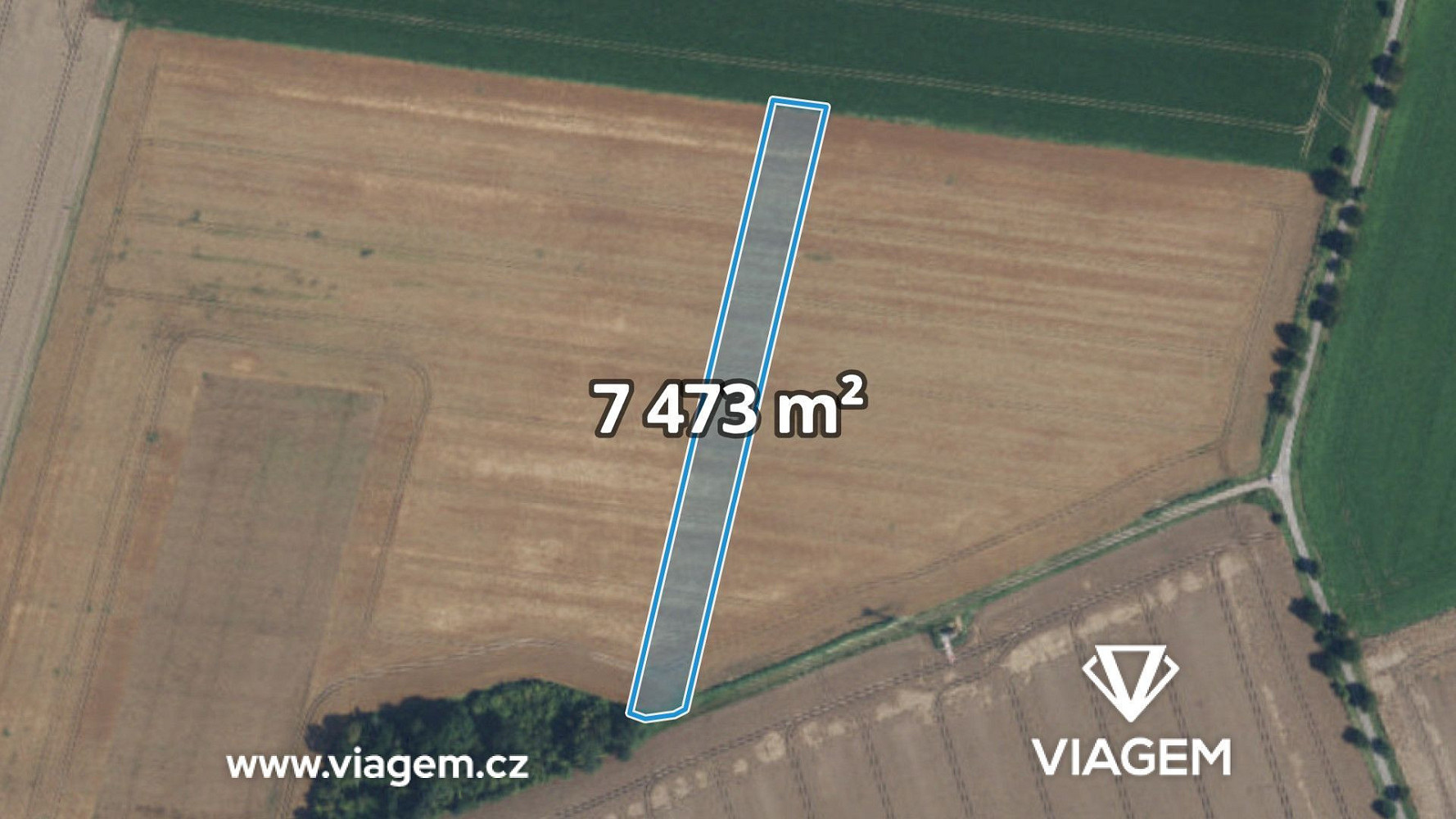Prodej pole 5 978 m²