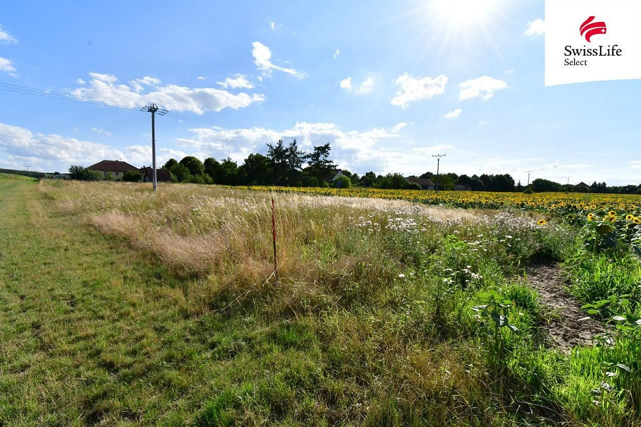 Prodej stavebního pozemku 1 899 m² – fotografie 4
