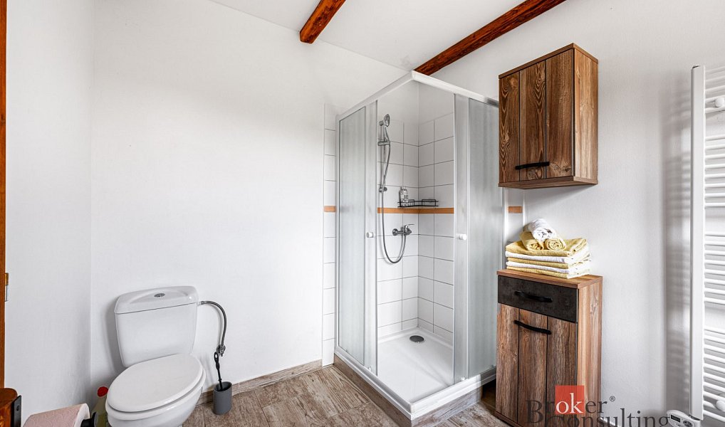 Prodej domu 294 m² s pozemkem 2 400 m², Zdíkov – náhled fotky 20