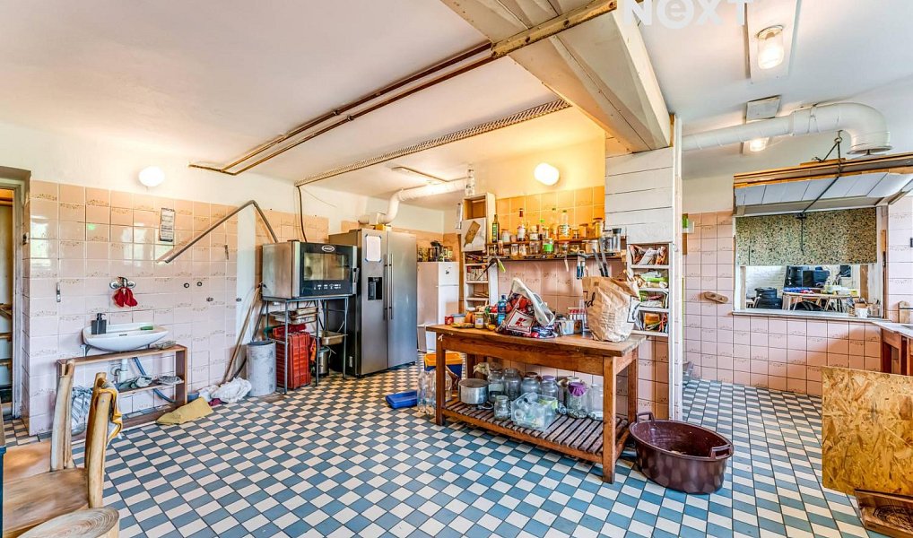 Prodej domu 900 m² s pozemkem 4 998 m², Strážná – náhled fotky 20