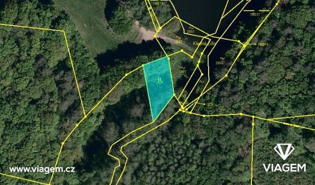 Prodej lesa 647 m², Bojkovice – náhled fotky 3