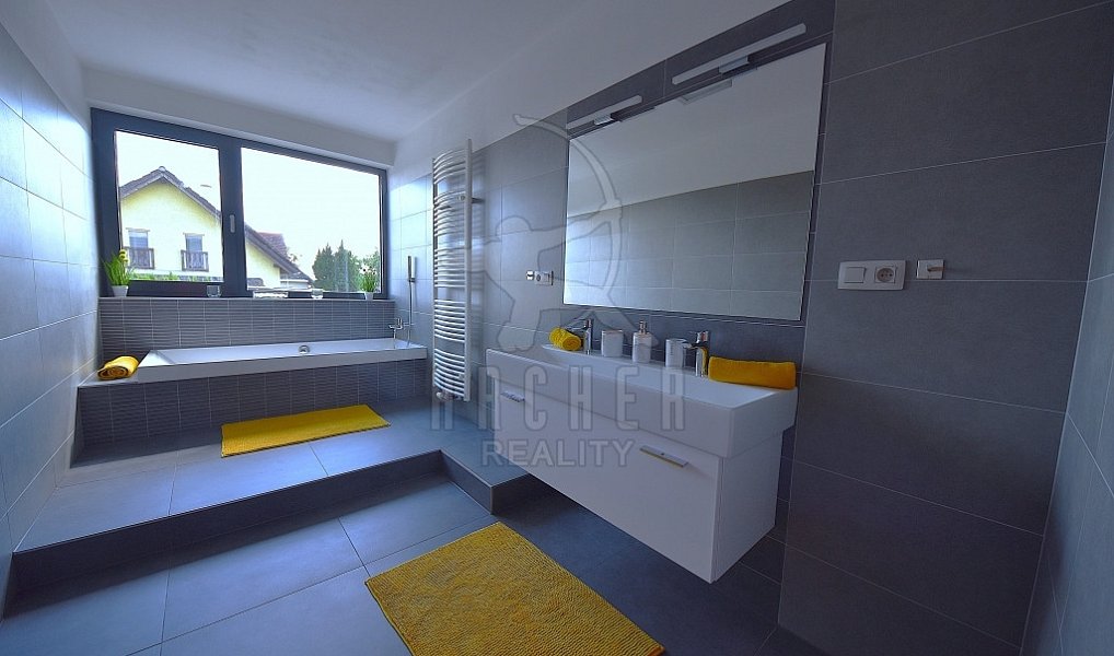 Prodej domu 301 m² s pozemkem 1 000 m², Mladá Boleslav – náhled fotky 18