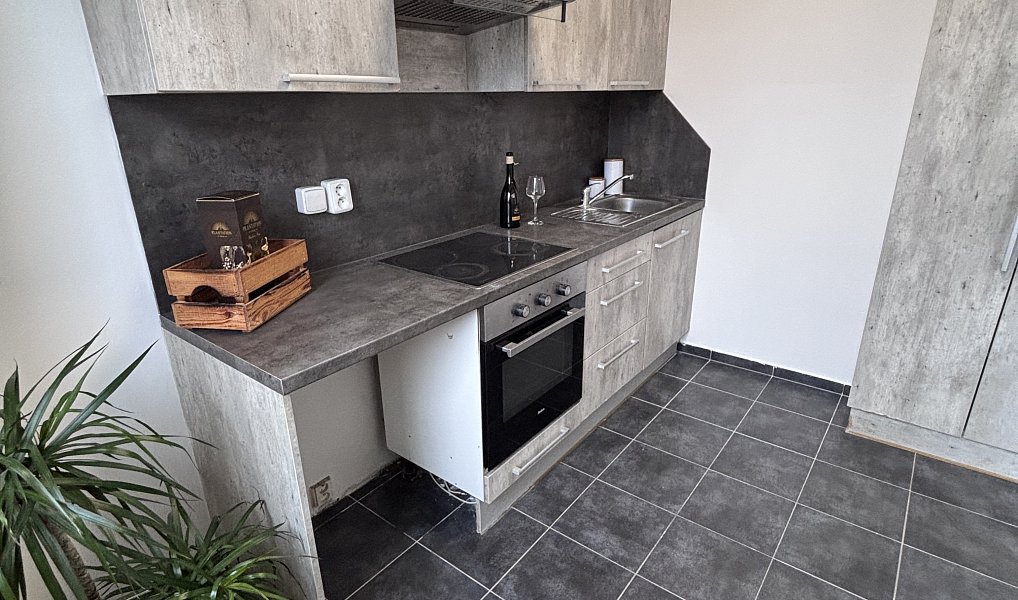 Prodej bytu 2+1 44 m², Ostrava – náhled fotky 5