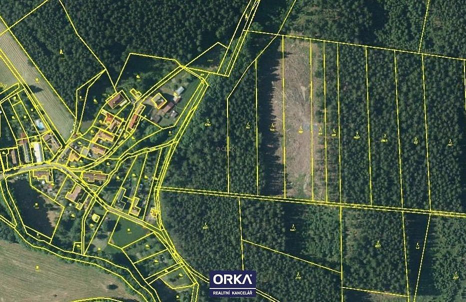 Prodej lesa 5 078 m²