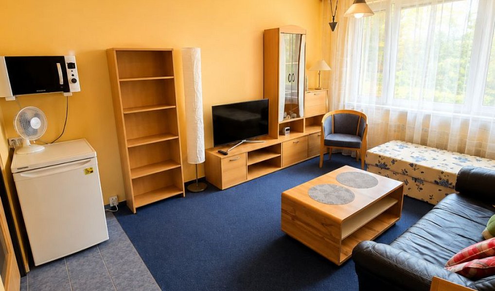 Prodej bytu 1+kk 23 m², Praha – náhled fotky 7