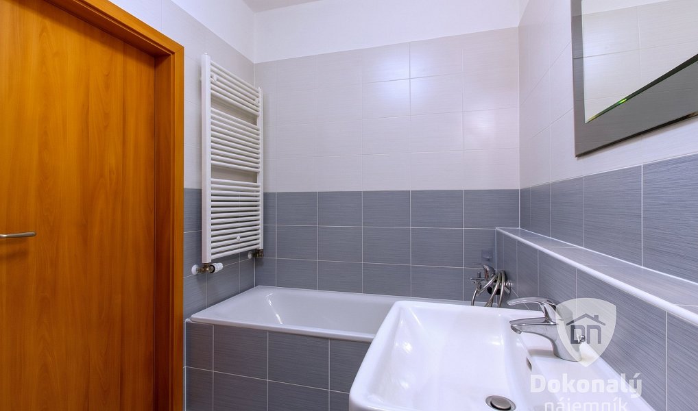 Pronájem bytu 2+kk 50 m², Praha – náhled fotky 9