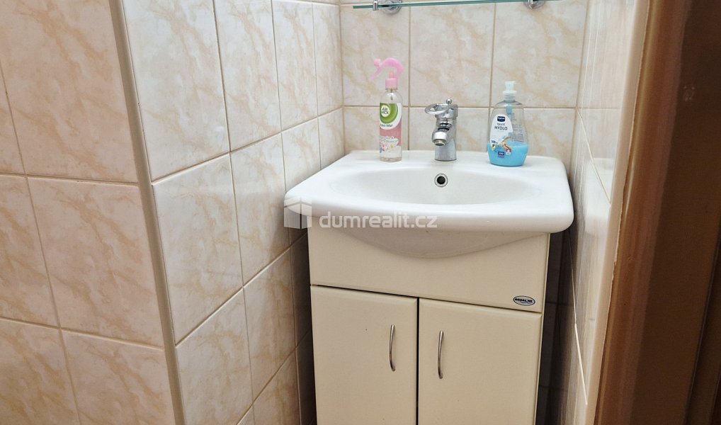 Prodej domu 230 m² s pozemkem 485 m², Kaplice – náhled fotky 18