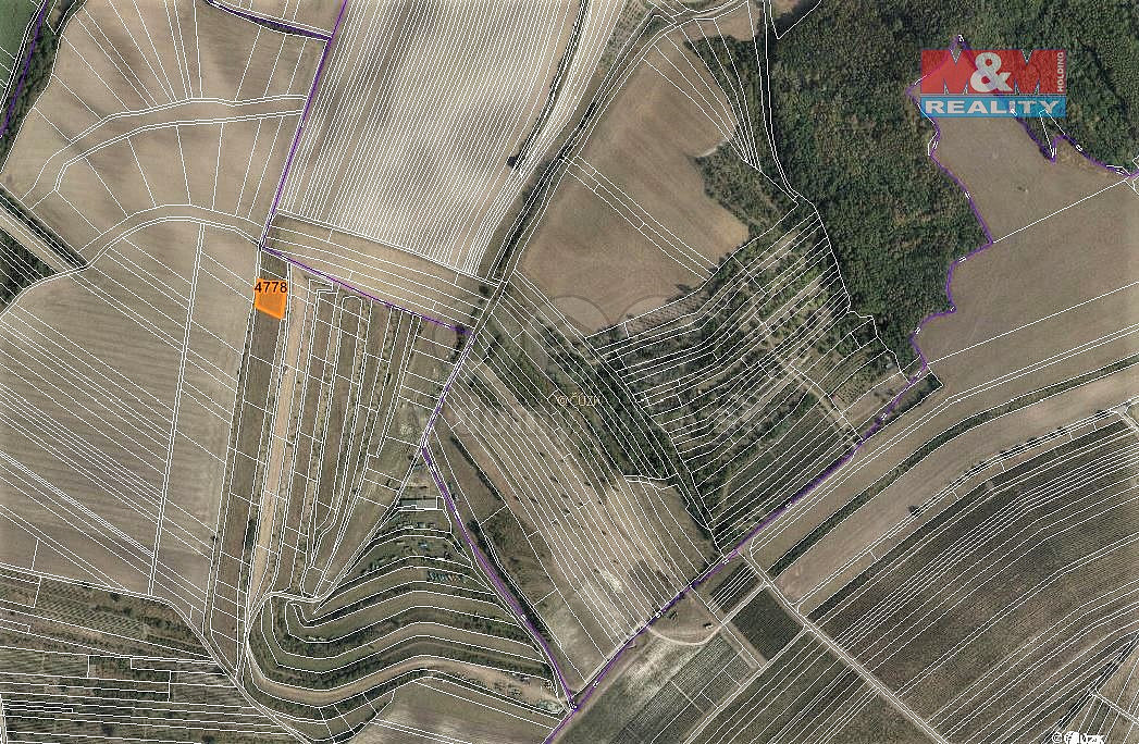 Prodej louky 1 239 m²