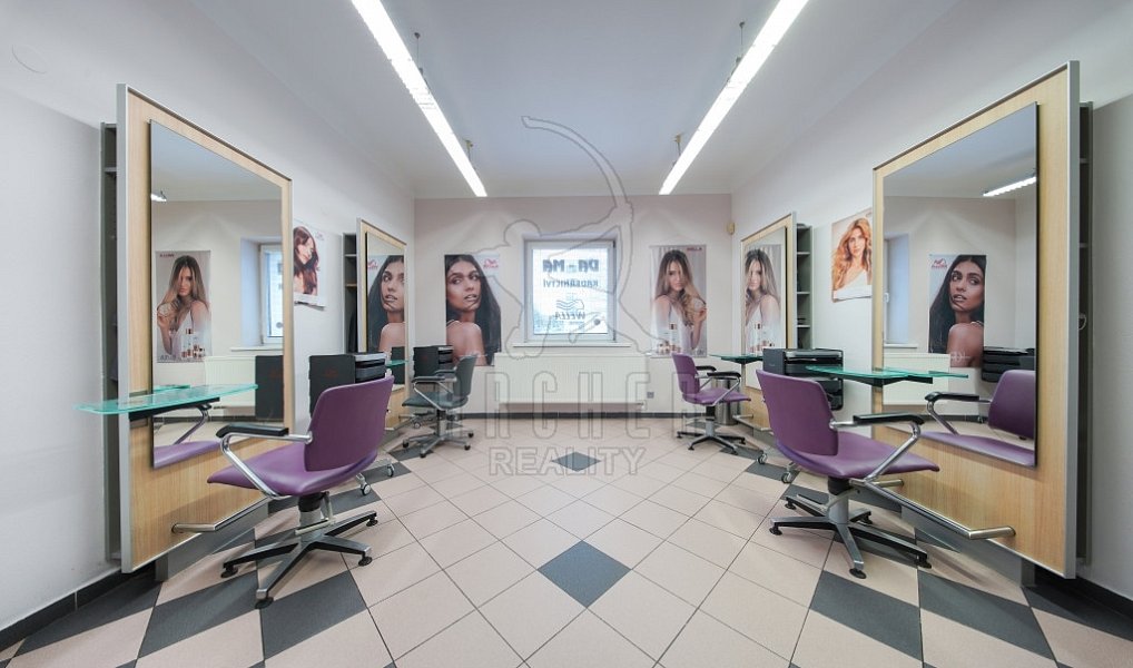 Prodej domu 324 m² s pozemkem 399 m², Praha – náhled fotky 5