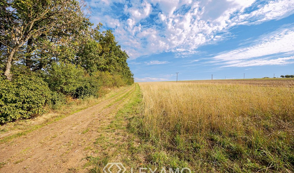 Prodej pole 5 903 m², Prace – náhled fotky 14
