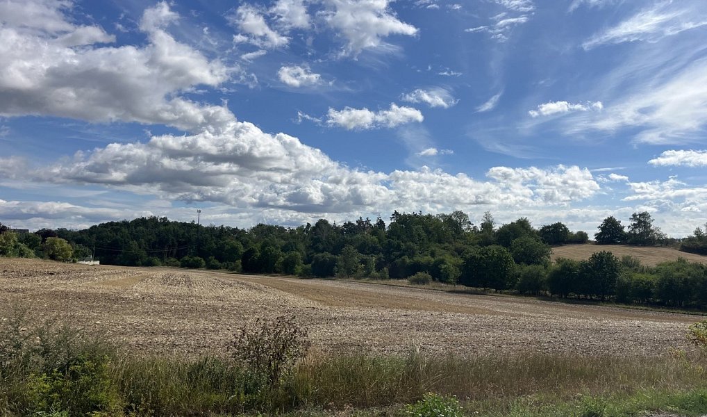 Prodej pozemku 17 300 m², Hrdlív – náhled fotky 3