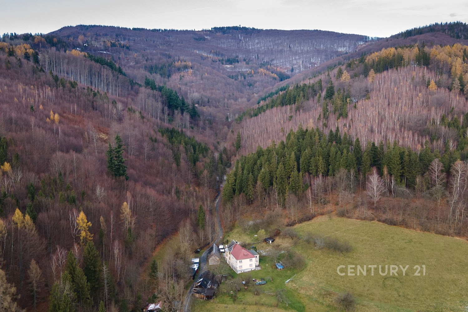 Prodej lesa 42 597 m² – fotografie 2