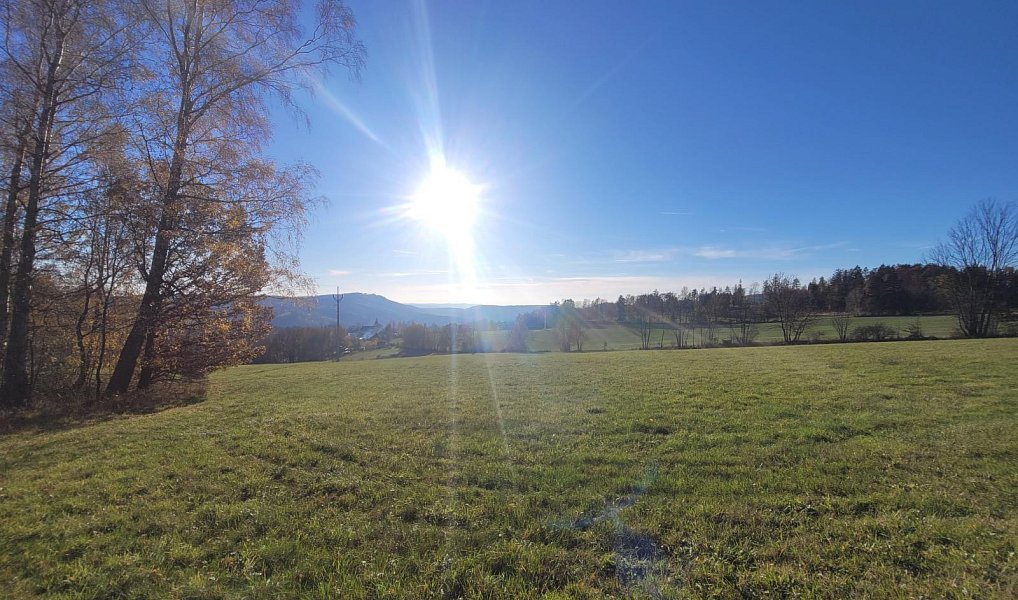 Prodej louky 6 834 m², Železný Brod – náhled fotky 19