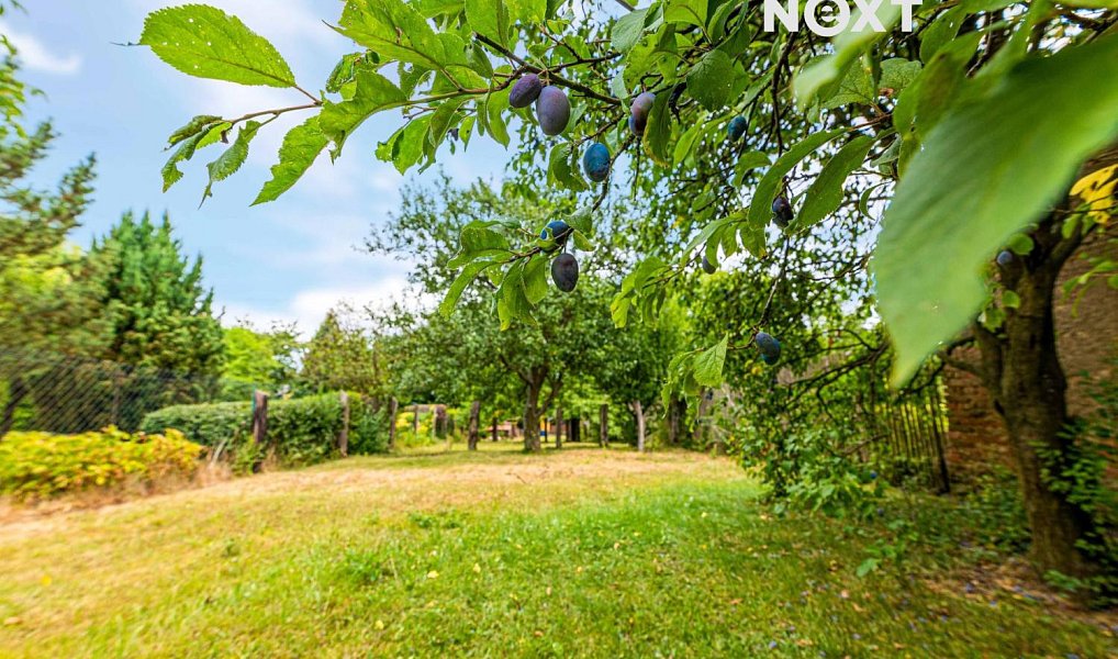 Prodej domu 96 m² s pozemkem 886 m², Čistá – náhled fotky 22