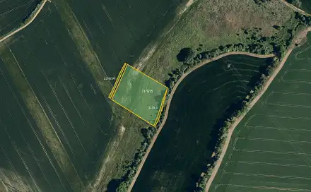 Prodej pole 7 967 m², Zdounky, okres Kroměříž