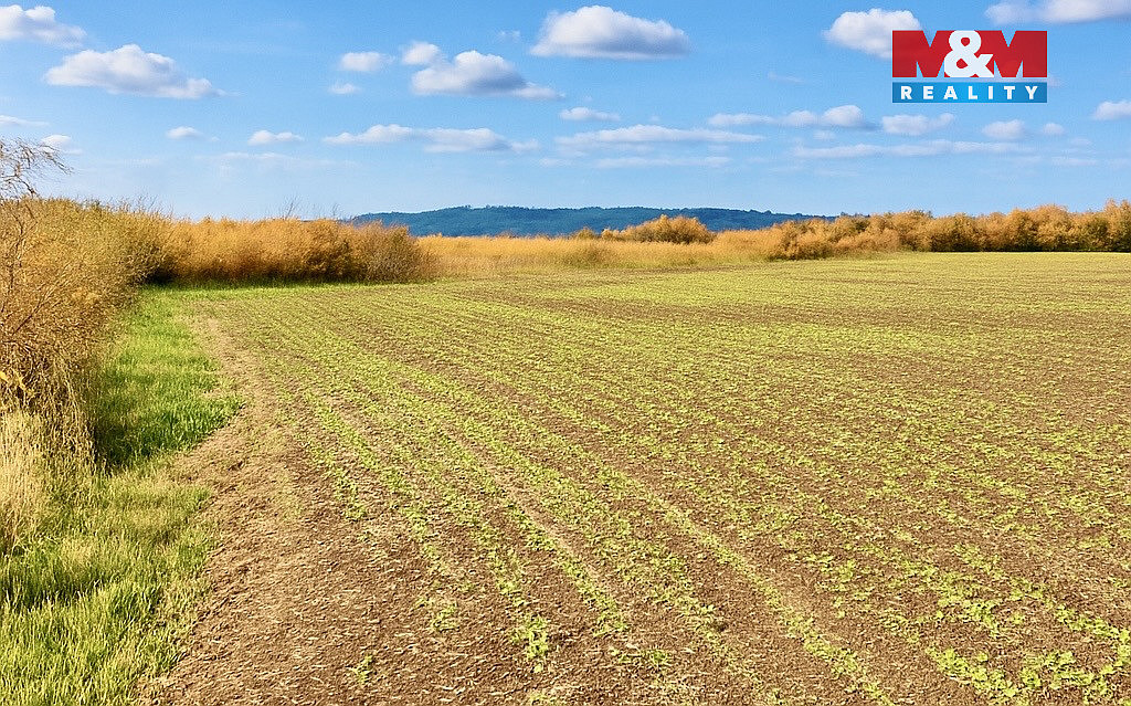 Prodej pole 9 215 m² – pohled 6