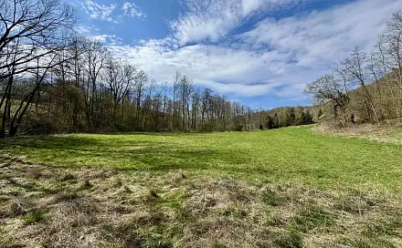 Prodej stavebního pozemku 8 112 m², Libina, okres Šumperk