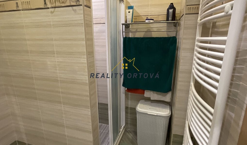 Prodej domu 166 m² s pozemkem 2 688 m², Třebnouševes – náhled fotky 28