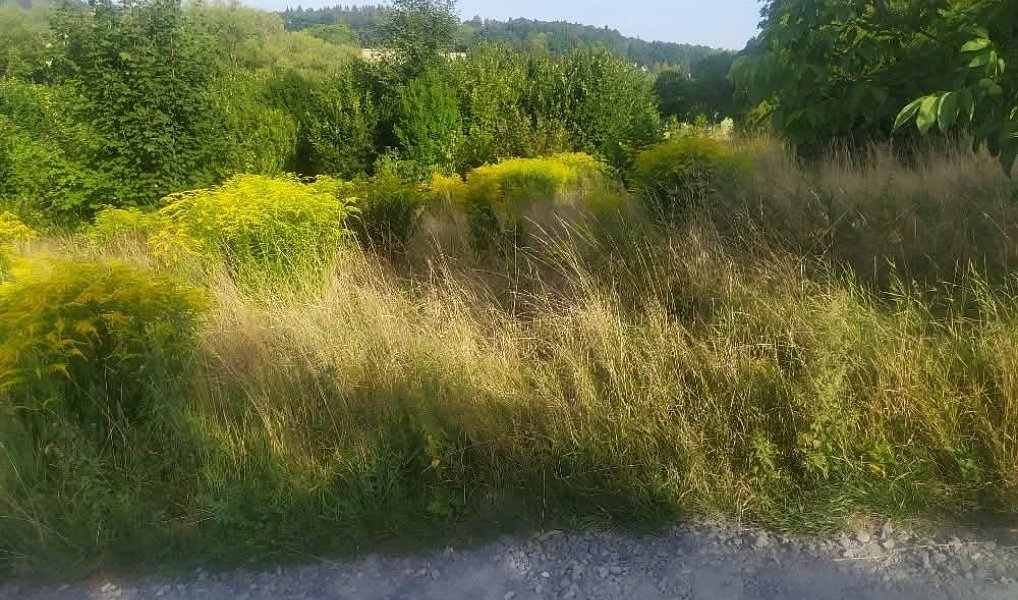 Prodej pozemku 411 m², Olomouc – náhled fotky 7