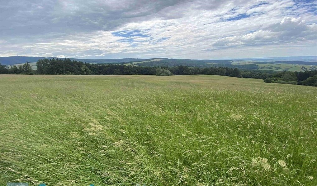Prodej pozemku, 7545 m², Uherské Hradiště, Korytná