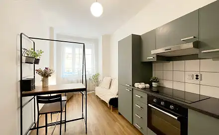 Pronájem bytu 1+1 48 m²