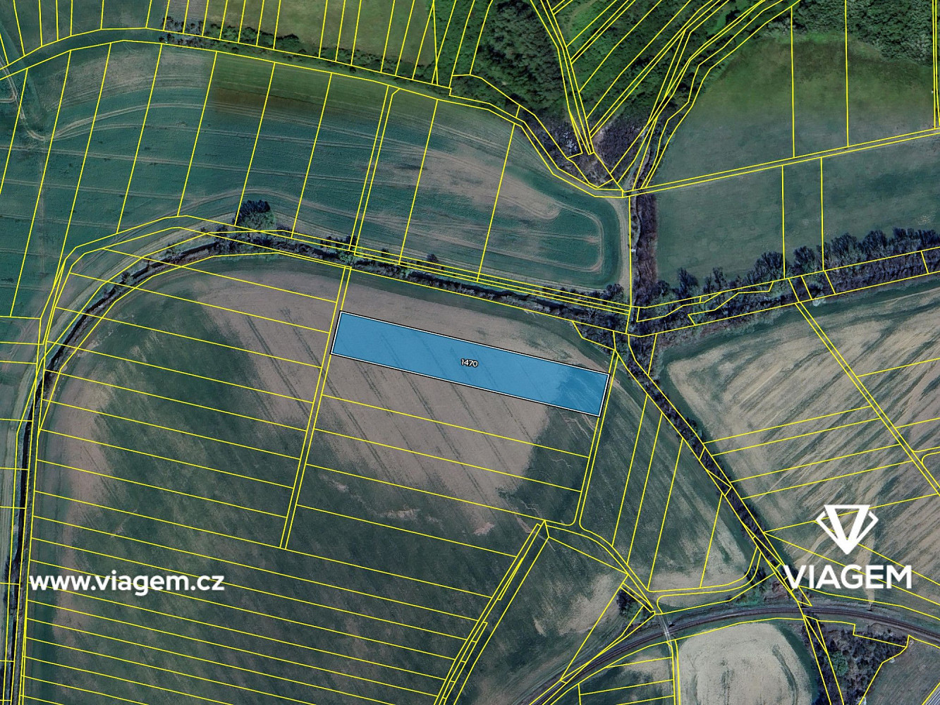 Prodej pole 1 254 m² – fotografie 4