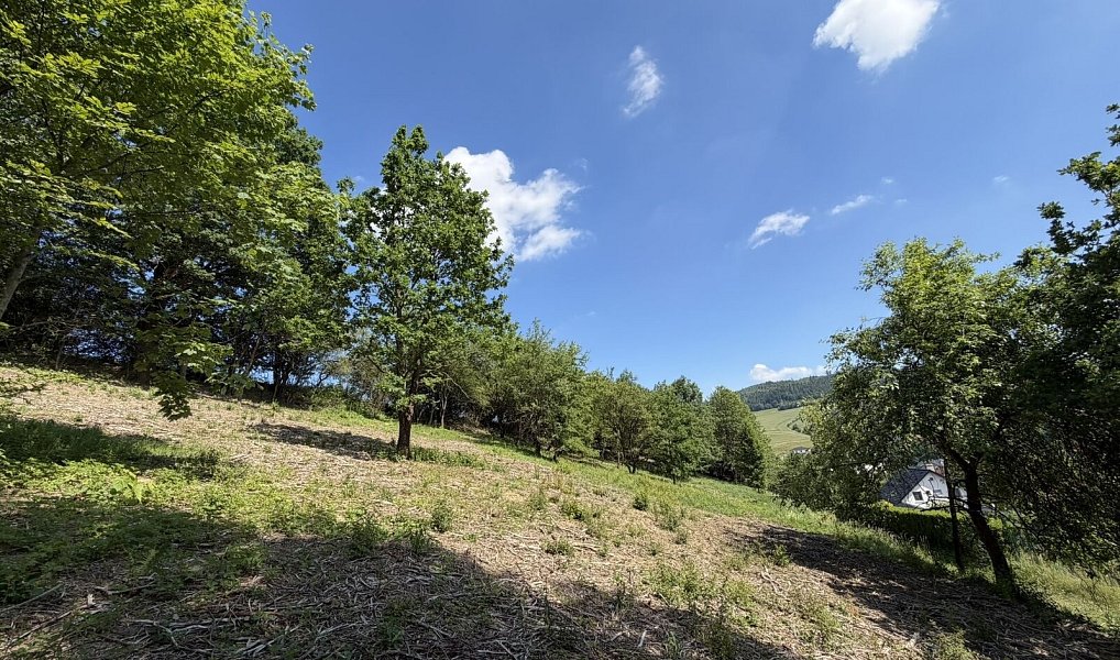 Prodej stavebního pozemku 1 781 m², Hošťálková – náhled fotky 8