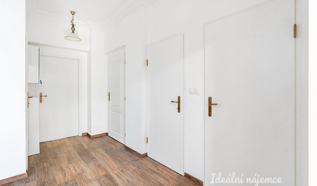 Pronájem domu 100 m² s pozemkem 200 m², Brandýsek – náhled fotky 16