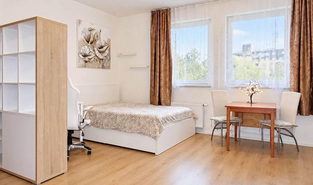 Pronájem bytu 1+kk 35 m², Praha – náhled fotky 3