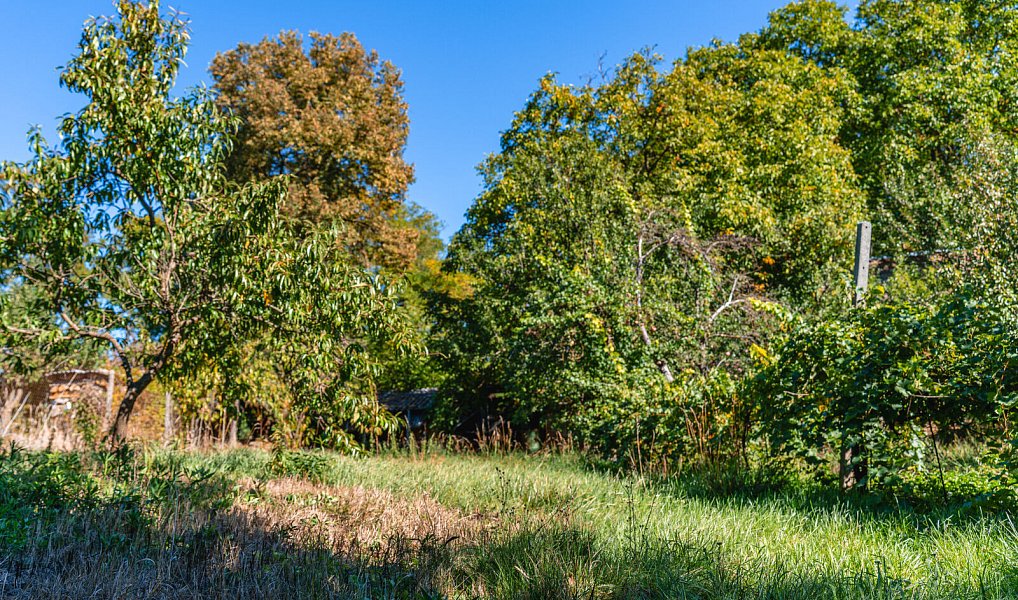 Prodej domu 218 m² s pozemkem 890 m², Sobůlky – náhled fotky 7