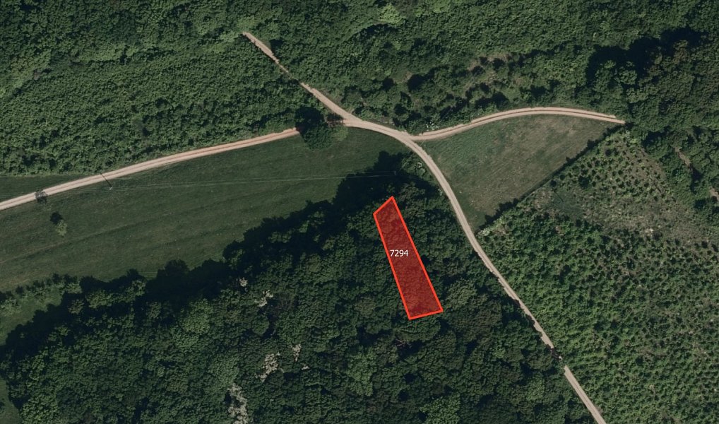 Prodej pole 14 992 m², Velká nad Veličkou – náhled fotky 5