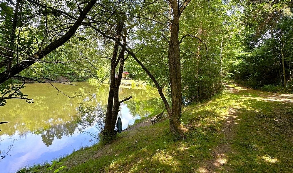 Prodej vodní plochy 25 771 m², Dačice – náhled fotky 10