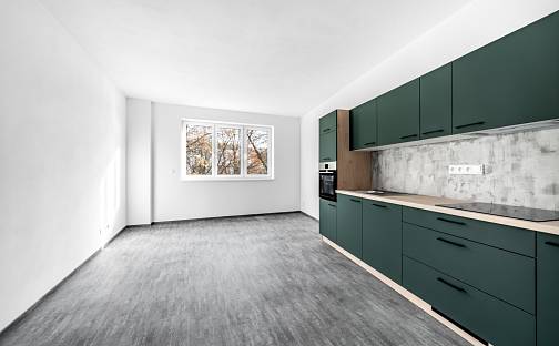 Pronájem bytu 2+kk 58 m², Malostranská, Plzeň - Doudlevce