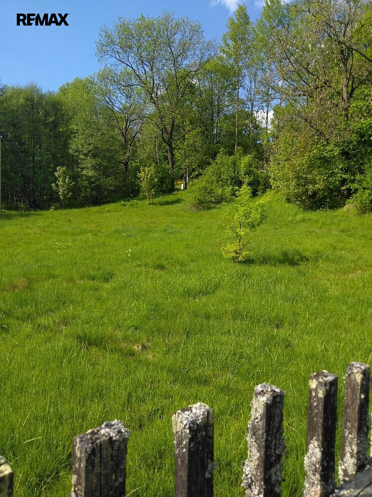 Fotka 6 z 10